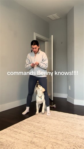 what did we miss??? #labpuppy #puppytraining #puppytrainingtips #labradorpuppy #labradorretriever