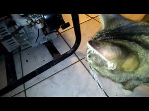 Coleman powermate generator 10 hp 5,000 watts