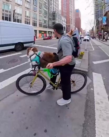 Clearing the way. | Ron Perry