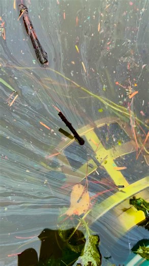 We don’t just clean beaches. We engineer solutions to tackle the smallest plastics in the environment. Most people think of plastic bottles and bags when they hear “plastic pollution,” but the real challenge often happens at a scale you can’t even see. Microplastics are tiny. Nano plastics? They’re even smaller, sometimes literally the size of dust. That’s what we’re targeting. We’ve been developing systems that pump, filter, and in the background charging plastic to capture these microscopic pa