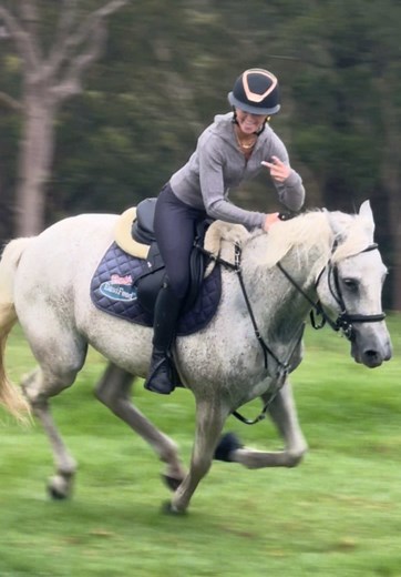 Amazing Pony Riding Clips Featuring Majestic Horses