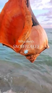 9.6K views · 429 reactions | Drop a  below if you agree! ⬇️ . Who...