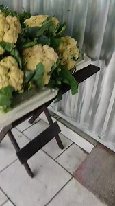 34 reactions · 3 comments | Quinta , dia 21 de outubro de 2021....