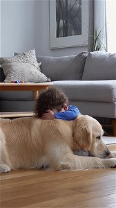 L'amour du chien calme l'enfant L'amour d'un chien peut-il changer les larmes? #fblifestyle #AI Generated using Kling AI . . . (À des fins de divertissement uniquement. Consulter des professionnels si des conseils sur les activités sont présentés. Aucune affiliation à une marque n'est implicite si elle est représentée. Si le contenu s'inspire d'événements réels, des adaptations créatives peuvent être incluses. Le contenu peut inclure des images publiques.) | Fabiosa Animation