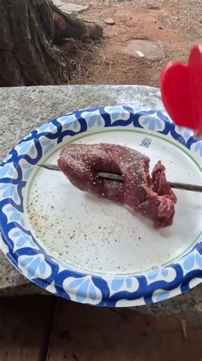 HOW TO COOK ELK OFF GRID #shorts #diy #campping #survival