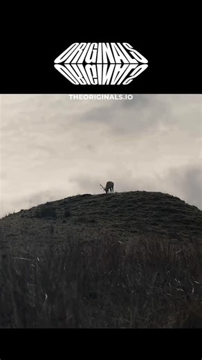 Current movies Ent on Instagram: "A Discovery of Witches 2018 ‧ Drama ‧ 3 seasons A Discovery of Witches is a magical fantasy series that follows Diana Bishop, a historian and reluctant witch who believes she wants nothing to do with magic. Her life changes when she accidentally summons a powerful ancient manuscript, revealing her hidden abilities and placing her at the center of a supernatural war. Matthew Clairmont, a centuries-old vampire geneticist, becomes her unlikely protector and partner