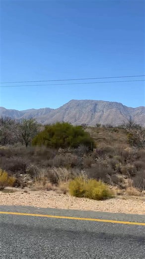 Anneli Marinovich on Reels