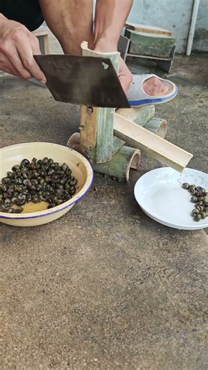 Snail tail trimming process - Goodtools and machinery make work easy