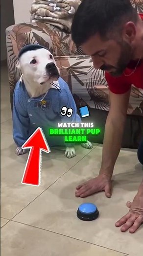 This Dog Just Learned How To Use A Vending Machine By Himself! 🐶🤯