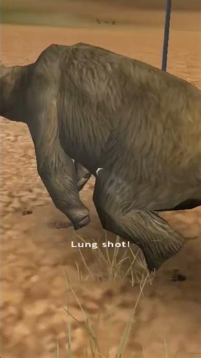 hunting unlimited bear and turkey hunting #gaming #huntergame #huntergame #cabela #games #gameplay