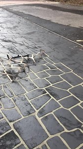 32K views · 103 reactions |  Discover the Art of Stencil Concrete...