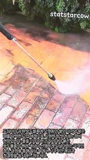 고압 세척기를 이용한 보도블록 이끼 및 때 제거 작업 #worker #process #pressurewashing #cleaning #outdoor