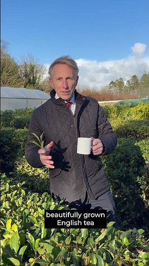 Enjoy the most British tea in history at the Farmers Dog.