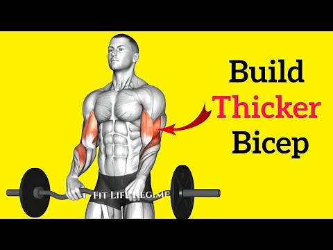 12 Most Effective BRACHIALIS EXERCISES for Thicker & Stronger Arms