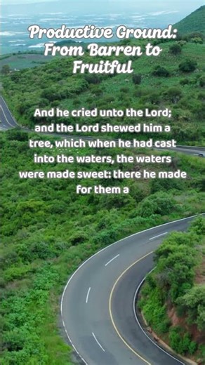 Productive Ground: From Barren to Fruitful