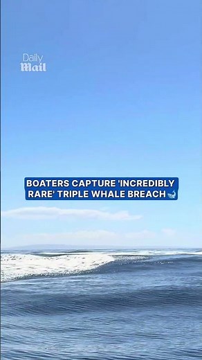 Boaters capture 'incredibly rare' triple whale breach