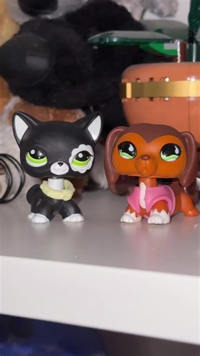 Discovering the World of Littlest Pet Shop Collectors