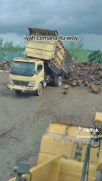 hampir.!! driver dump truk sawit ini skill nya di atas rata-rata #foryou