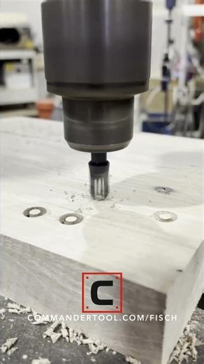 Blemish in your wood project? No problem for Fisch fans!