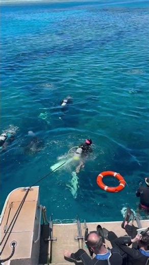 娘と慶良間諸島でスキューバダイビング