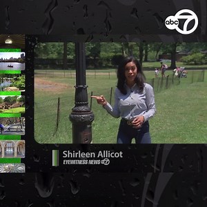 Never get lost in Central Park again! You can always find out where you are by checking a lamppost! Shirleen Allicot shares this cool secret -- that's in 1,600 places in the park! Join us for more Central Park secrets on our special, Saturday at 7 p.m. on Channel 7! #centralpark #abc7ny | ABC7NY