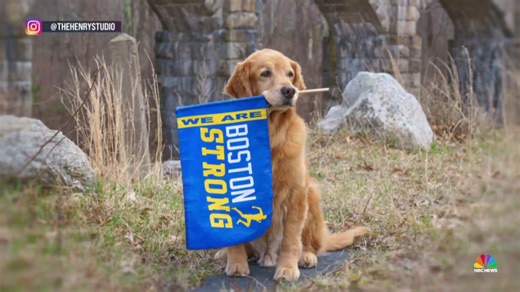 Legacy of the Boston Marathon’s beloved official dog lives on