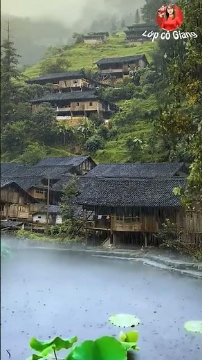 Nghe tiếng mưa rơi và ngắm cảnh trời mưa #ngamcanh #troimua #canhdepthiennhien #shorts