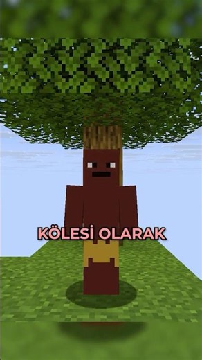 MINECRAFT'TA KÖLE OLARAK PARA KAZANDIM!?! ⛏💎