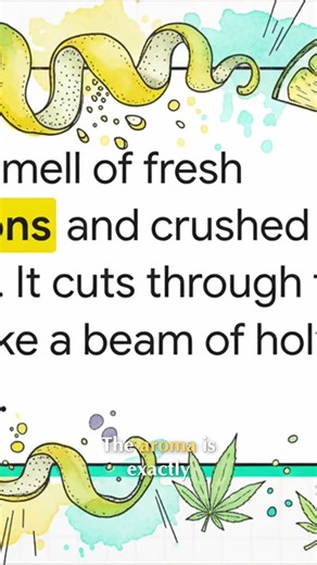 Limonene: The Citrus Terpene for Energy & Mood #shorts