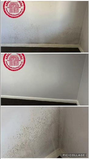 How to remove mould from ceiling and walls? #AngelicMouldRemoval#MoveOutCleaning#EndOfLeaseCleaning