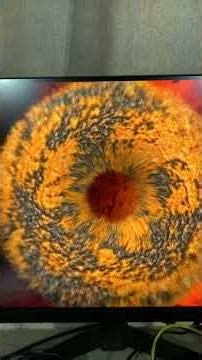 FurMark Test y Gpu-z 1050ti