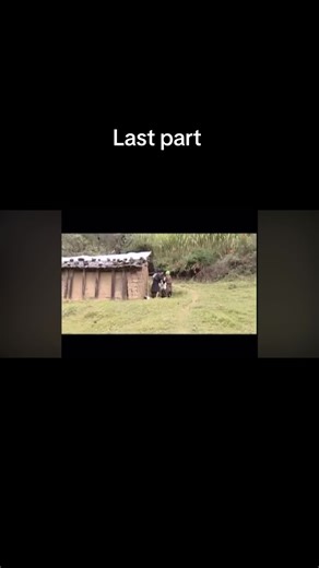 ‏#valleyofgoldmovie #fyp #viral #bhutanesemovie