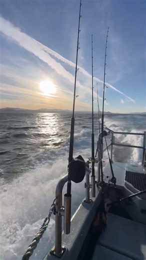 Morro bay Rock fish charters.