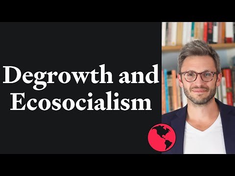 Degrowth and Ecosocialism | Jason Hickel