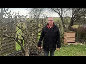 Les soins des fruitiers en hiver !