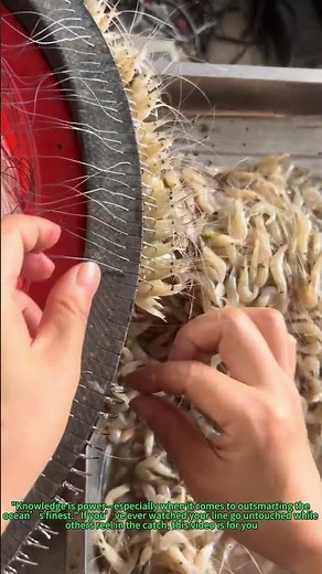 DIY Fishing Bait: Quick Guide to Stringing Shrimp for Ocean Catch Success!