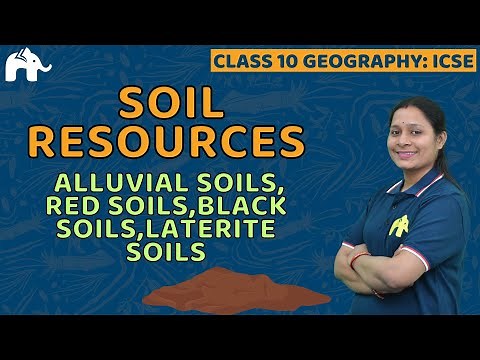 Soil Resources Class 10 ICSE Geography | Selina Chapter 5 | Alluvial , Red ,Black ,Laterite Soils