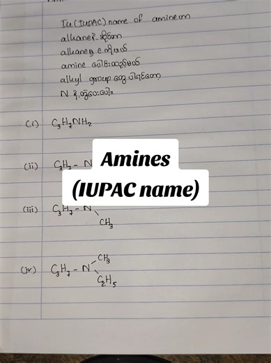Understanding Amines in Organic Chemistry