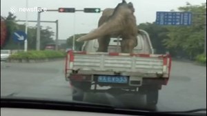 Truck spotted transporting 'dinosaur' in China