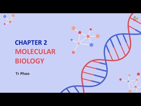 G-12 Bio Chapter 2