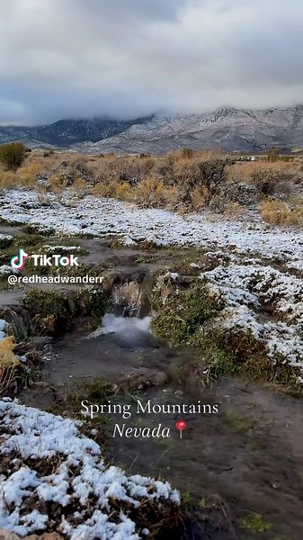 Exploring the Desert Vibes of Mt. Charleston in Nevada