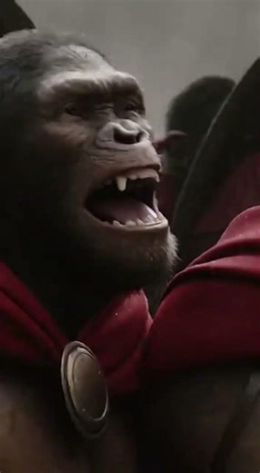 🐒 300 CHIMPANZEES.