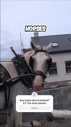 The Horses of The Aran Islands - Ireland 🇮🇪 #Travel #Horses