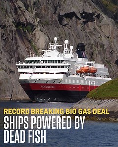 1.6K views · 88 reactions | From 2020 will our ships be powered by nature | Hurtigruten | Facebook