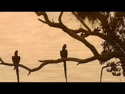 Music by CUSCO ♪ Flute Battle