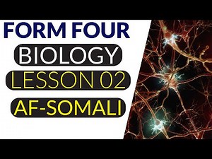 FORM FOUR || BIOLOGY || LESSON TWO || CLASSES OF NEURONS || AF-SOMALI