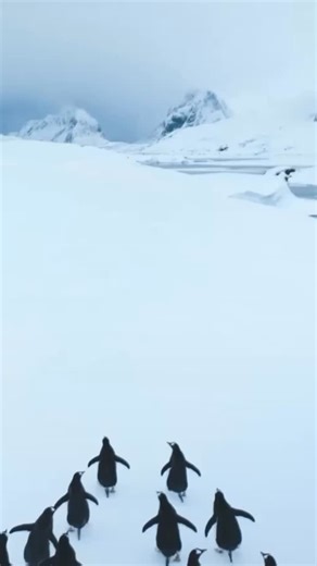 2026 is for new habits, not old hurdles. Santander Bank, N.A. Member FDIC | Santander Bank US