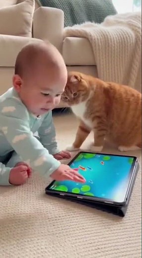 Adorable baby and cat play together with an iPad game