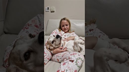 7 signs that your beagle truly loves you