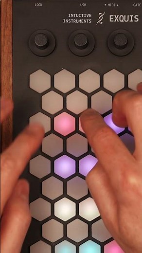 Exquis - Free 4x4 MPE drum kits preview